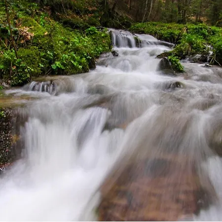 Joanna Bela Reka Appartement