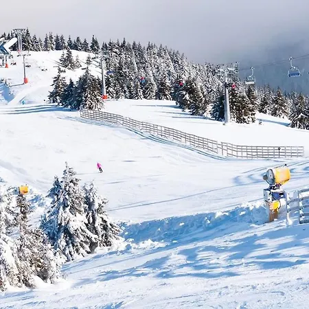 Joanna Bela Reka Appartement *