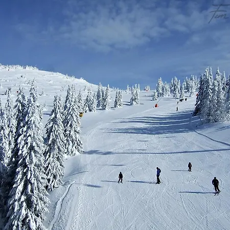 Joanna Bela Reka Appartement