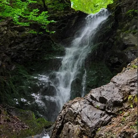 Joanna Bela Reka Appartement