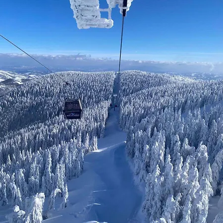 Joanna Bela Reka * Brzeće